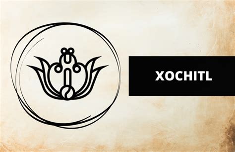 Xóchitl pronunciation ” The stress falls on the second syllable, and the “X” is pronounced like the English letter “S